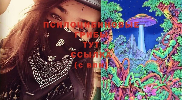 винт Баксан